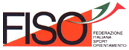 Logo FISO